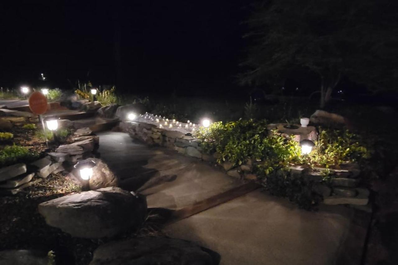 Comfy Log Family & Pet Kind By State & Waterparks! *