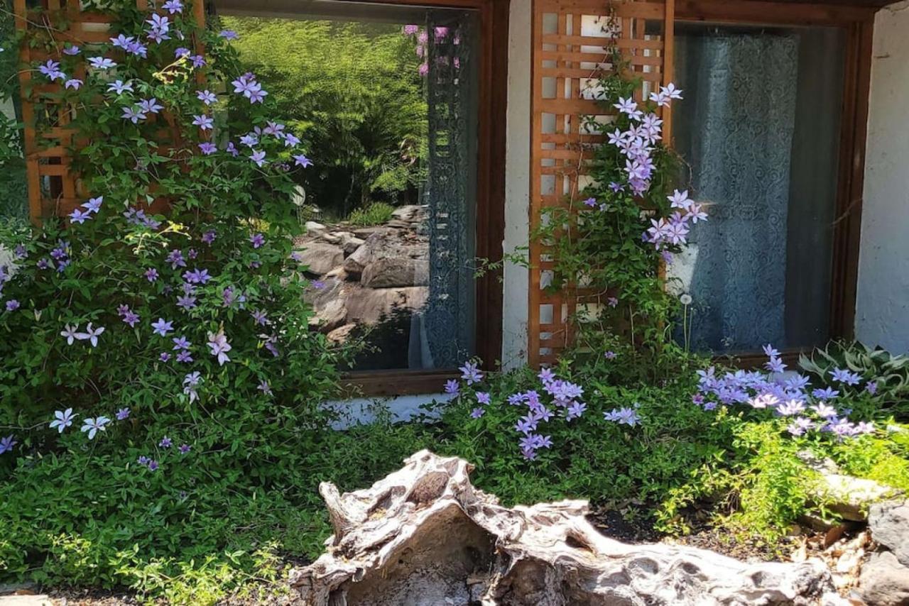 Comfy Log Family & Pet Kind By State & Waterparks! * Tobyhanna